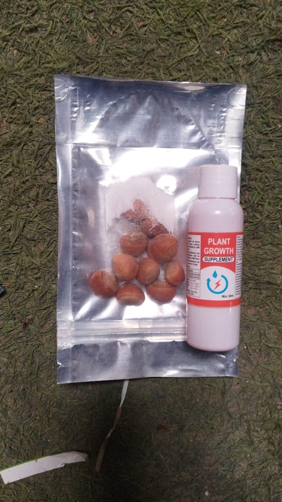 Buy Banana Seed Packs - High-Quality Planting Seeds - Eazylife