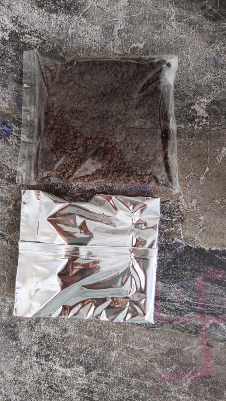 Eclipse Rose Seeds Pack - Premium Flower Gardening Seeds - Eazylife