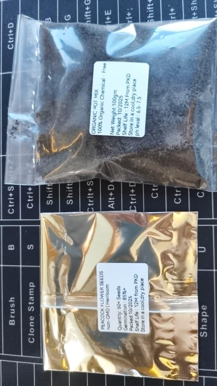 Buy Peacock Flower Seeds Duo - Vibrant Garden Seed Packs Online - Eazylife